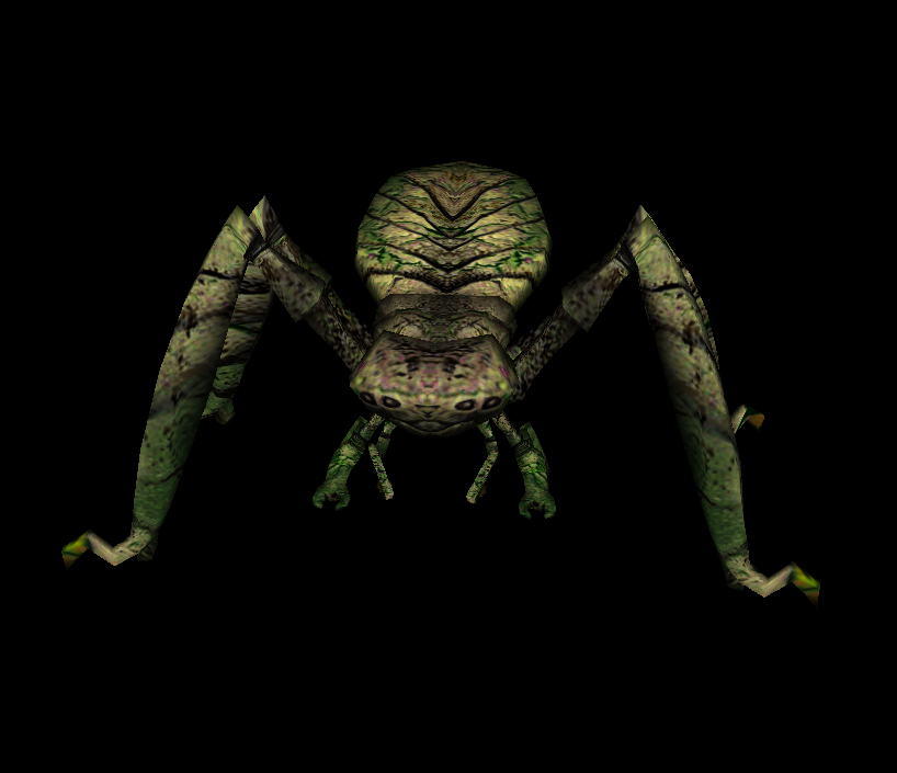 Корта матка